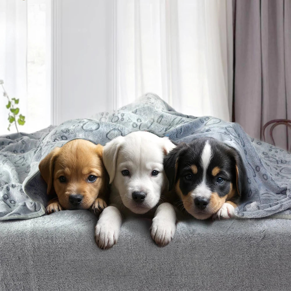 CozyPaws™ – Ultra Soft Washable Pet Blanket
